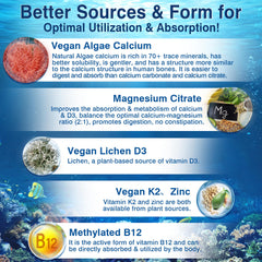 LILICARE liposomal technology illustration emphasizing enhanced nutrient absorption