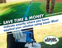 Liquid Harvest Lazer Blue grass-marking-dye clearly highlights treated turf areas.