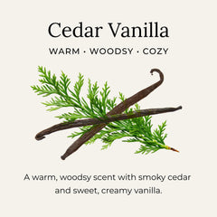 Free wooden scoop included with every jar for clean measuring.