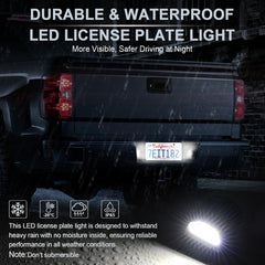 LivTee license plate light shows 6000K xenon white brightness for a premium look.