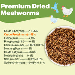 LIWII dried mealworms for wild birds providing a protein-rich treat.