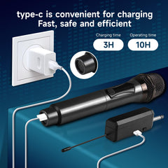 Loewieta dynamic mic core with DSP noise reduction for clear vocals.