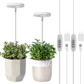 LORDEM grow light full-spectrum panel boosts indoor plant growth.