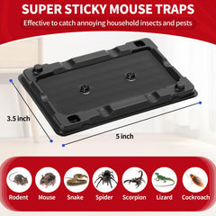 LULUCATCH glue trap 12-pack ready for quick setup