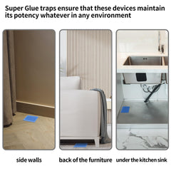 LULUCATCH glue trap wall placement sits flush for efficiency.