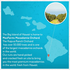 MacFarms macadamia nuts in trail-mix, fiber-rich crunch during hikes.