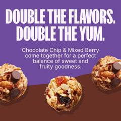 MadeGood Granola Bites chocolate chip close-up: crisp texture and cocoa.