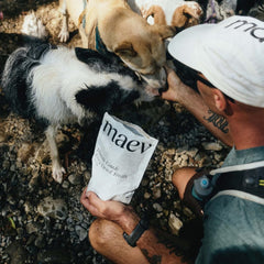 Maev lightweight training treat illustrating a high-value reward for focus