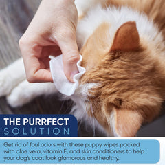 MAGICARE Pet Wipes with aloe vera support daily coat care
