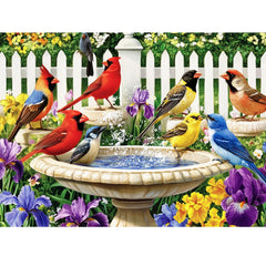Maiqufa birdbath puzzle scene, calming activity for adults with vibrant colors