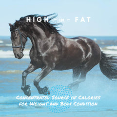 Manna Pro Cool Calories 100 powder being added to horse feed for energy.