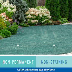 Maplefield Blue Dye visible on lawn showing spray coverage area.