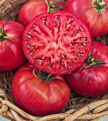 Marde Ross & Company Pink Ponderosa seeds packet front for home gardeners seeking large beefsteak tomatoes