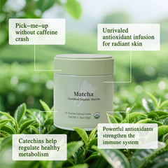 MatchAdmire Matcha Premium First Harvest cup — rich latte with balanced caffeine and L-Theanine