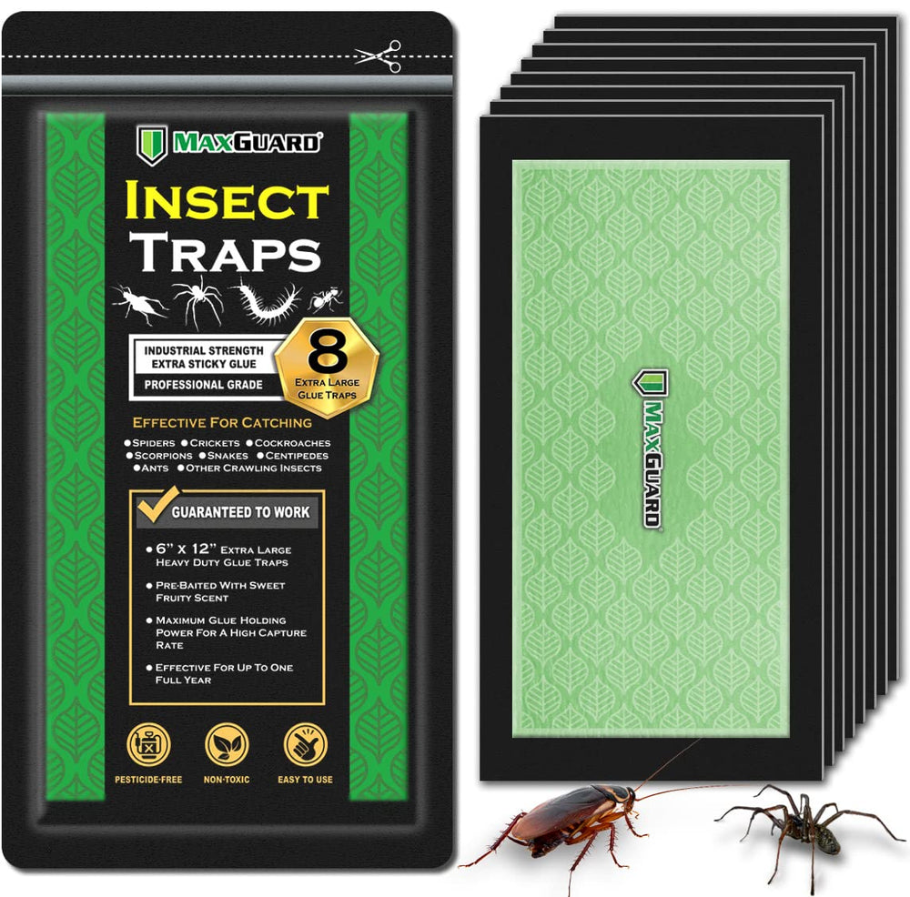 MaxGuard Extra Large Traps box and traps visible, ready for quick placement and broad pest capture.