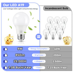 Maylaywood A19 bulb with E26 base for easy, universal installation.