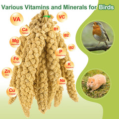 MEILLEURE foraging millet encourages cage exploration and mental engagement