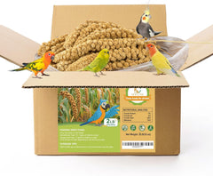 MEILLEURE spray millet for parakeets, natural energy snack to support activity