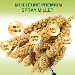 MEILLEURE sun-dried millet spray preserves aroma and nutrition for birds