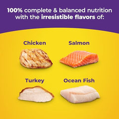 Meow Mix Original Choice kibble closeup showcases high-quality protein for lean muscles.