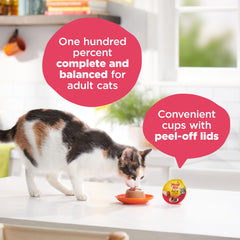 Texture crémeuse du pâté en sauce Meow Mix pour une dégustation appétissante.