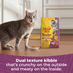 Meow Mix Tender Centers Basted Bites texture close-up highlighting extra flavor