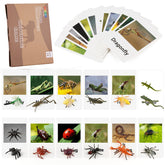Mereco Montessori Animal Match cards for early vocabulary practice.