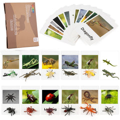 Mereco Montessori Animal Match cards for early vocabulary practice.