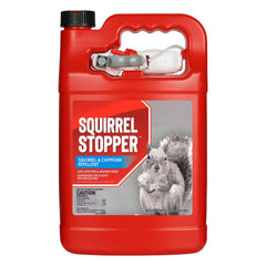 Messinas Squirrel Stopper bottle (1 gallon) ready to defend yards and feeders.