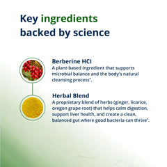 Gluten-free vegetarian formula supports clean supplement choices for sensitive lifestyles.