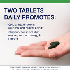 Close-up of PhytoMulti Without Iron tablets shows compact vegetarian form for easy daily use