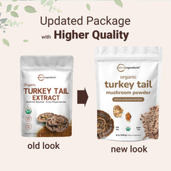 Micro Ingredients turkey tail powder highlighting active polysaccharides for potential wellness.