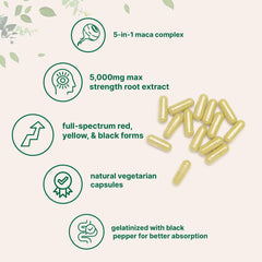 Ashwagandha and maca blend capsules by Micro Ingredients suggest balanced energy support
