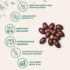 Ceylon Cinnamon with MCT oil from Micro Ingredients shown to support absorption.