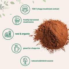 Micro Ingredients chaga powder scoop ready to mix into smoothies or coffee.