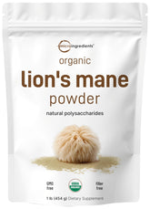 Micro Ingredients Lion's Mane powder bottle for daily cognitive support