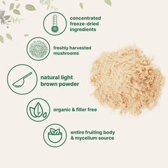 Micro Ingredients Lion's Mane powder packaging highlights organic, non-GMO quality