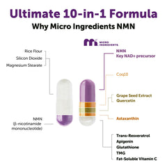 Micro Ingredients NMN Complex ingredient blend highlights antioxidants and coenzymes