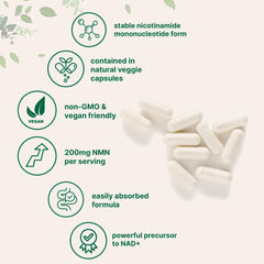 NMN packaging label view highlights non-GMO, vegan formula and 60 servings per bottle.