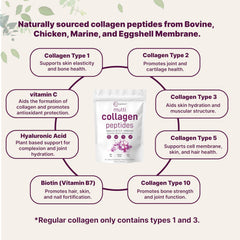 Micro Ingredients types I–X collagen blend indicating broad skin and joint support.