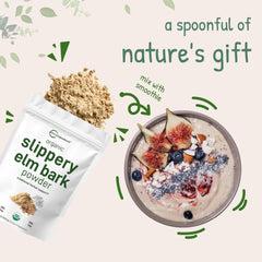 Micro Ingredients US-grown organic slippery elm bark powder in a premium jar