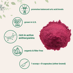Pour tart cherry powder into a smoothie for natural flavor and nutrients.