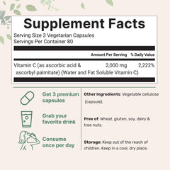 Capsules close-up showing dual-solubility vitamin C for absorption.