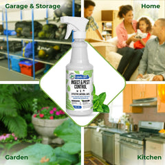 Indoor baseboards treated by Mighty Mint spray to deter common indoor invaders.