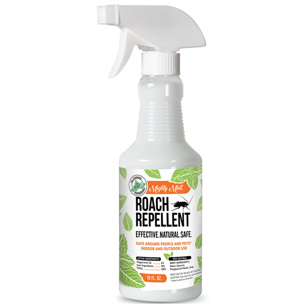 Mighty Mint peppermint oil roach spray bottle in action for pest control