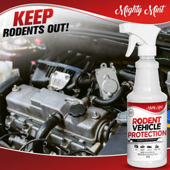 Mighty Mint spray in glove compartment protects sensitive components.