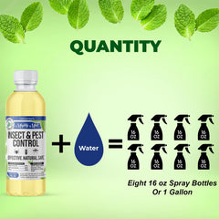 Mighty Mint spray bottle applying to baseboards for targeted insect deterrence.