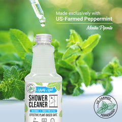 Mighty Mint on tile and grout to illustrate multi-surface care