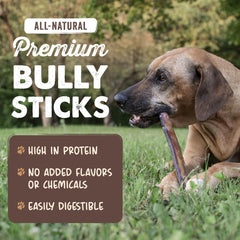 Mighty Paw Naturals Bully Sticks : adaptés petits et moyens chiens pour une mastication saine