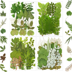 MIKIYA 84Pcs pressed dried leaves variety pack for resin crafts and gifts.